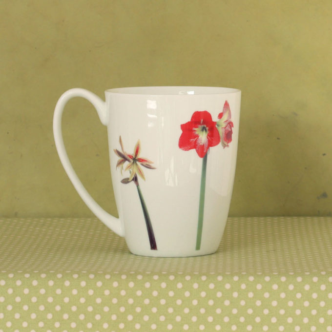 Becher Fine Bone China 250 ml "Amaryllis"