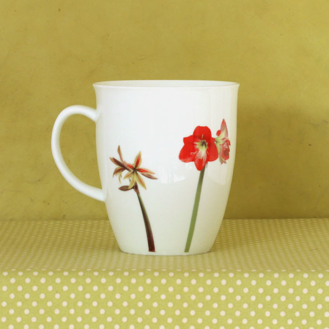 Becher Fine Bone China 350 ml "Amaryllis"